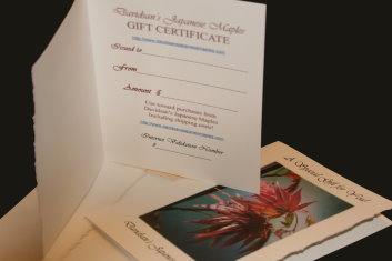  Gift Certificates